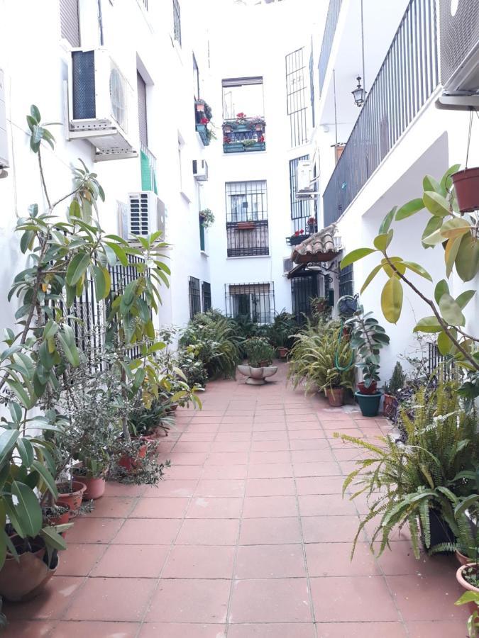 Apartamento Pleno Centro Wallada Córdoba Eksteriør bilde